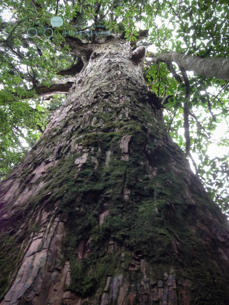 IMG_1476_wide1080.jpg?type=w773