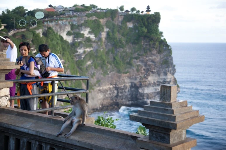 IMG_0629_Wide1080mark%EB%B0%94%EB%9E%8C%ED%83%80%EA%B3%A0.jpg?type=w773