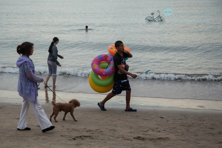 IMG_1204_wide1080%EB%B0%94%EB%9E%8Cmark.jpg?type=w773