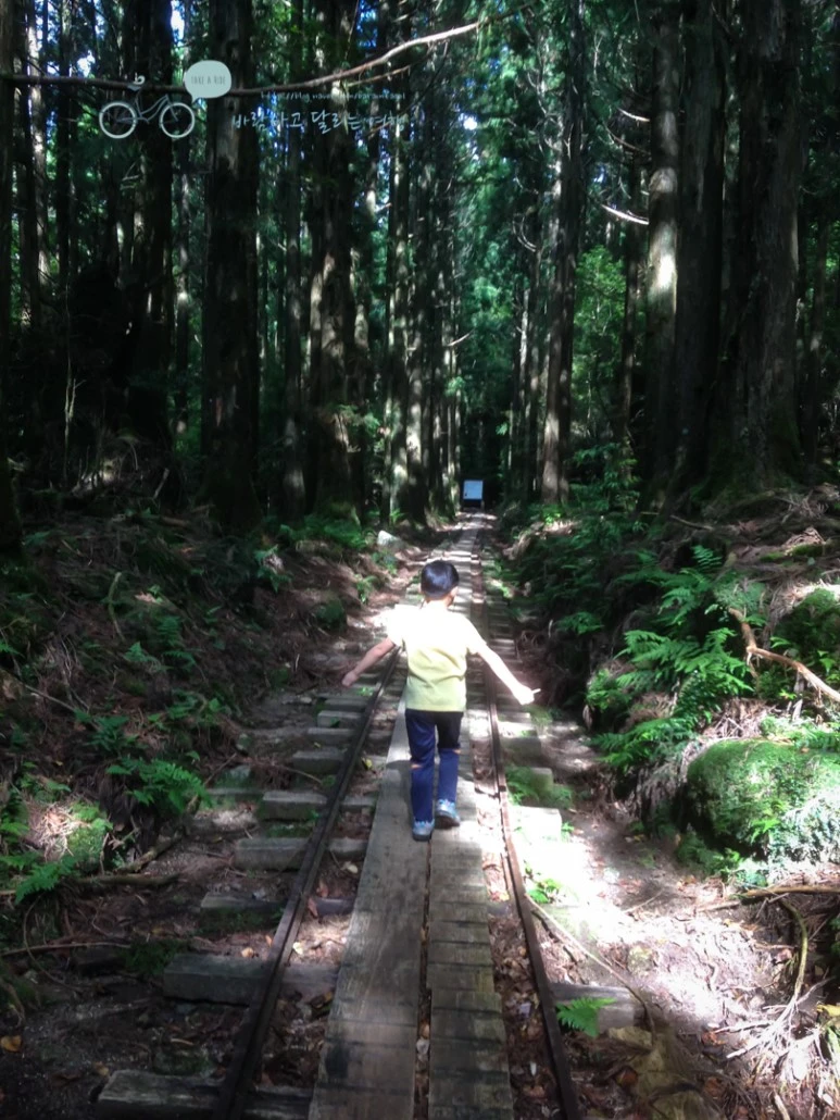 IMG_1286_wide1080.jpg?type=w773