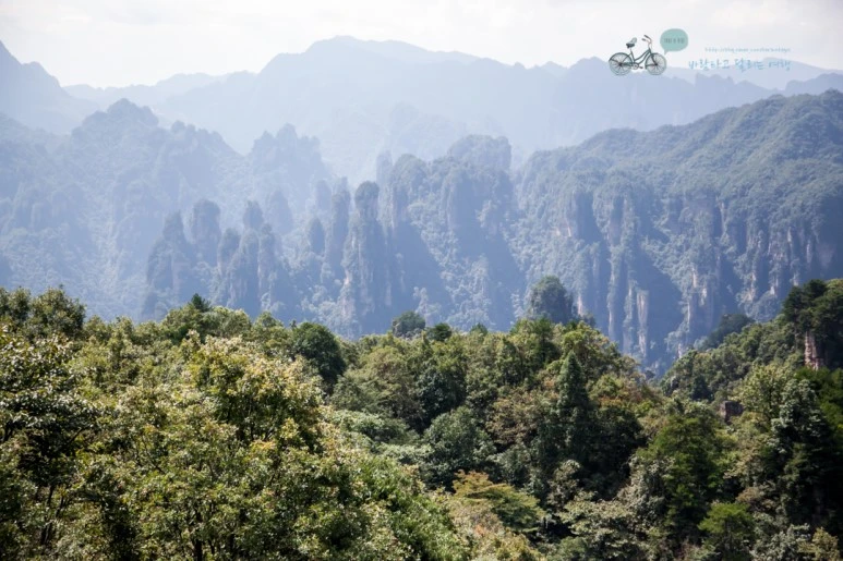 IMG_1214_Wide1080mark%EB%B0%94%EB%9E%8C.jpg?type=w773