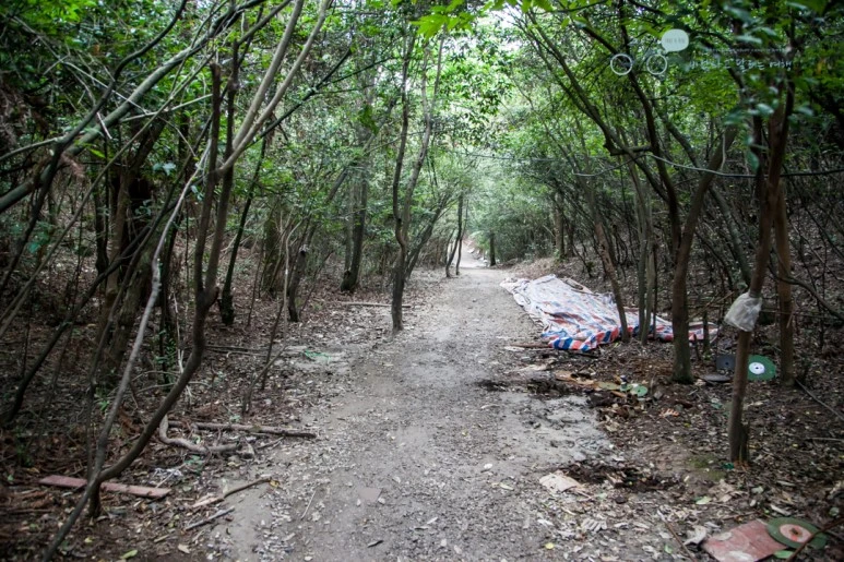 IMG_1255_Wide1080mark%EB%B0%94%EB%9E%8C.jpg?type=w773