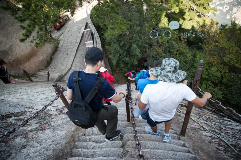 IMG_0337_Wide1080_mark%EB%B0%94%EB%9E%8C.jpg?type=w773