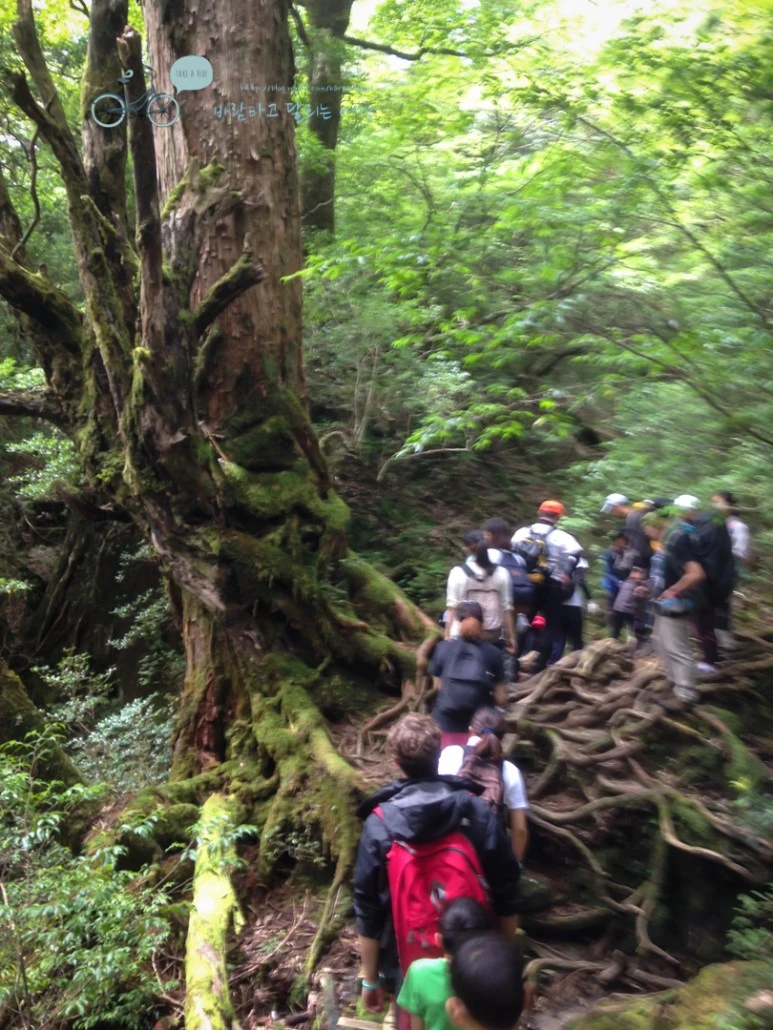 IMG_1391_wide1080.jpg?type=w773