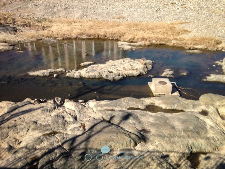 IMG_1673-_Wide1080mark.jpg?type=w773