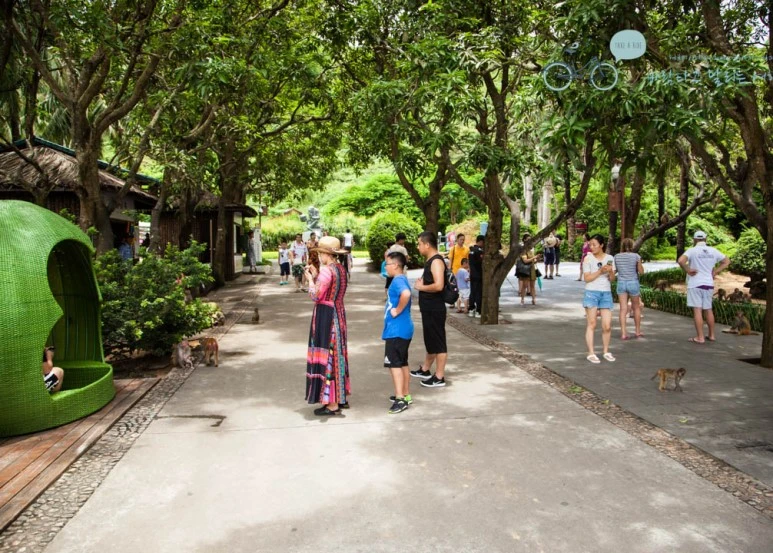 image_9778007351516779234403.jpg?type=w773