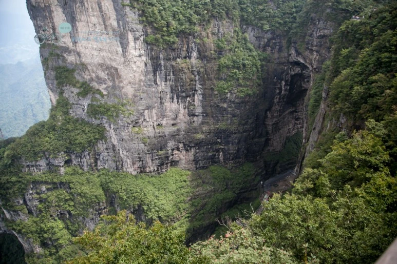 IMG_0435_Wide1080mark%EB%B0%94%EB%9E%8C.jpg?type=w773