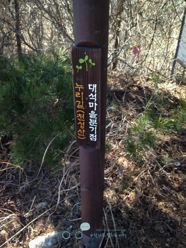 IMG_1470-_Wide1080mark.jpg?type=w773