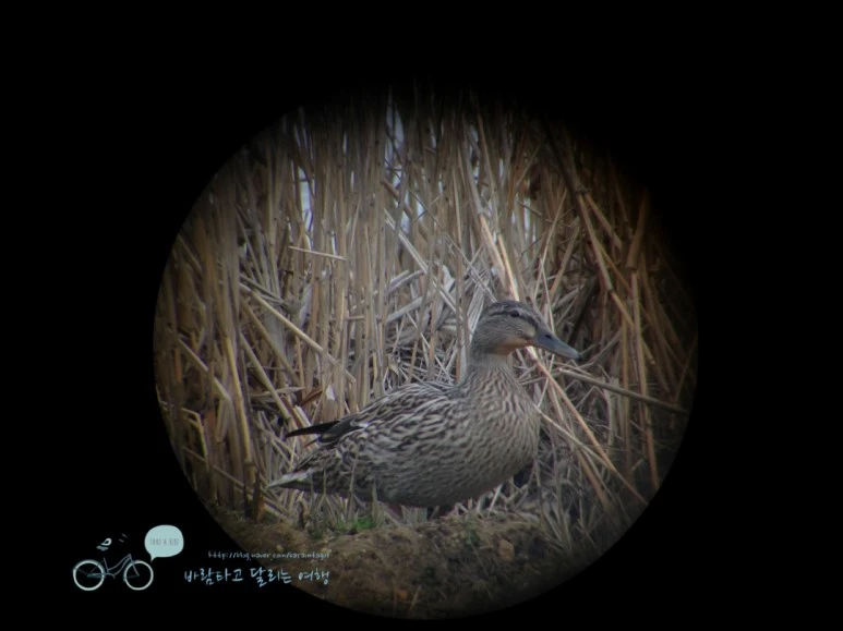 IMG_1789.jpg?type=w773