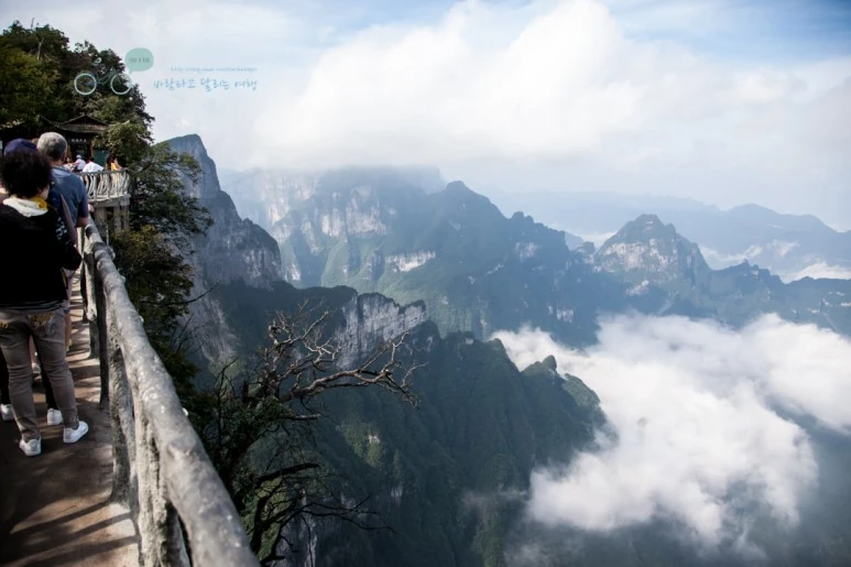 IMG_0119_Wide1080mark%EB%B0%94%EB%9E%8C.jpg?type=w773