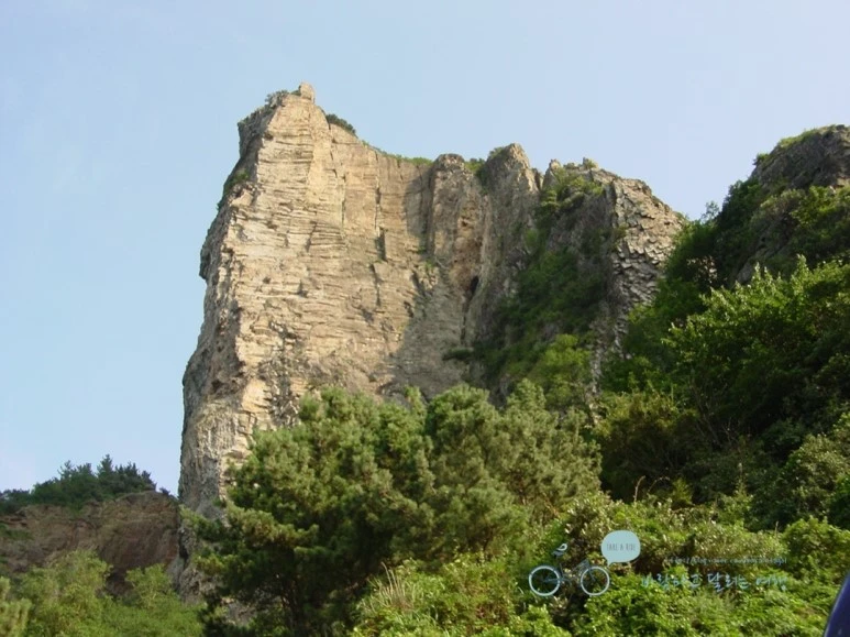 DSC01872.jpg?type=w773