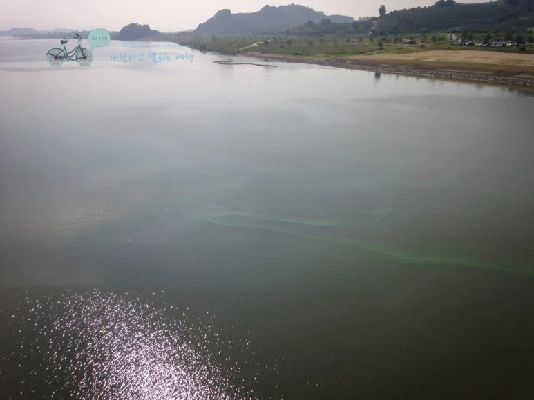 IMG_0671_Wide1080mark%EB%B0%94%EB%9E%8C%ED%83%80%EA%B3%A0.jpg?type=w773