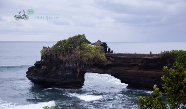 IMG_0417_Wide1080mark%EB%B0%94%EB%9E%8C%ED%83%80%EA%B3%A0-2.jpg?type=w773