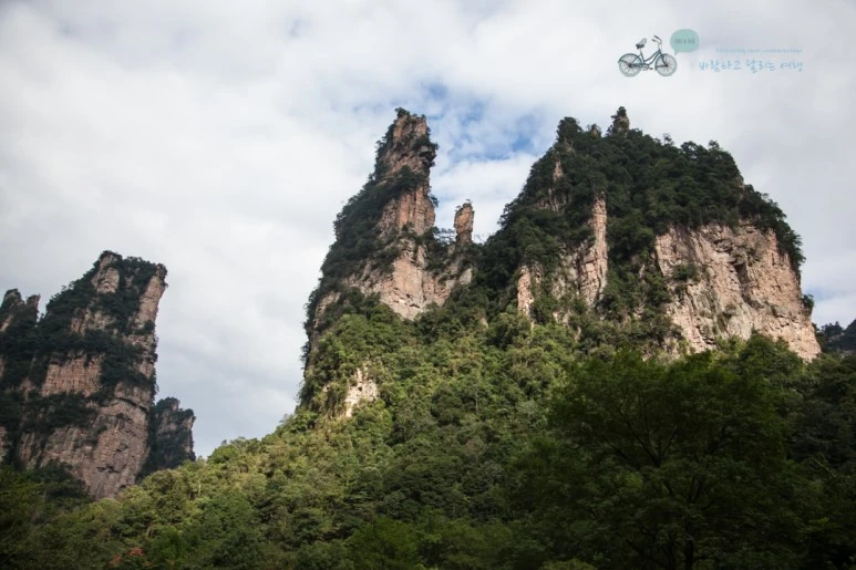 IMG_1435_Wide1080mark%EB%B0%94%EB%9E%8C.jpg?type=w773