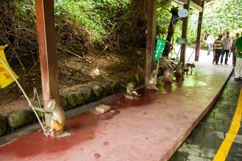 IMG_1333_wide1080%EB%B0%94%EB%9E%8Cmark.jpg?type=w773