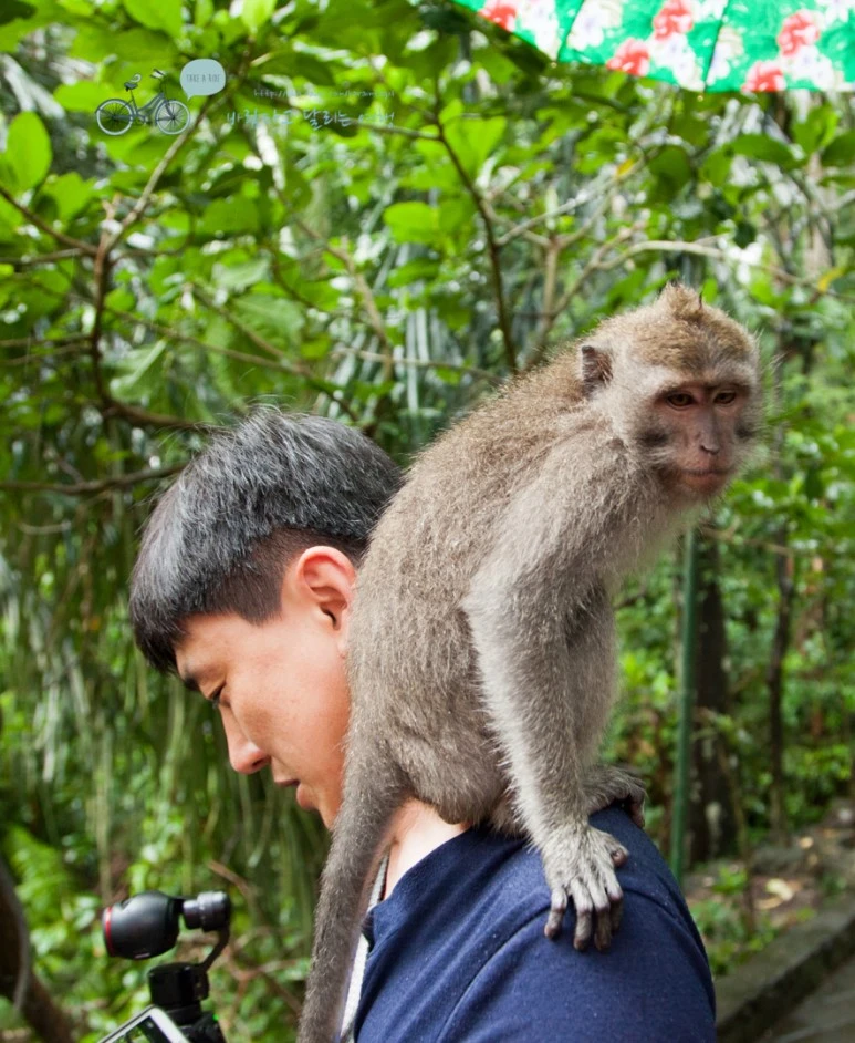 IMG_0147_Wide1080mark%EB%B0%94%EB%9E%8C%ED%83%80%EA%B3%A0-3.jpg?type=w773