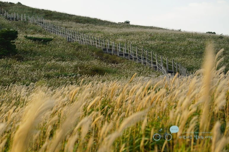 DSC00202_Wide1080mark.jpg?type=w773