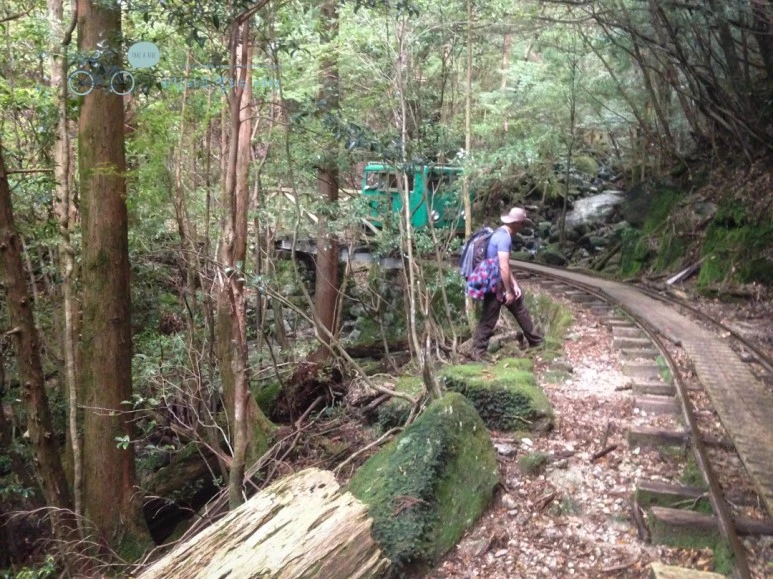 IMG_1299_wide1080.jpg?type=w773