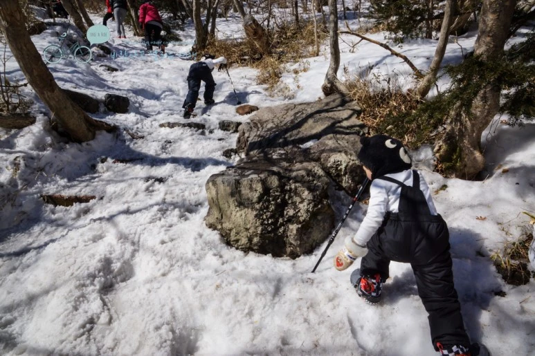 DSC00065_3.jpg?type=w773