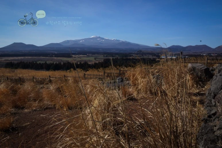 DSC00096_2.jpg?type=w773