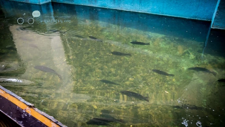 _1000843_wide1080_Wide1080mark_%EB%B0%94%EB%9E%8C.jpg?type=w773