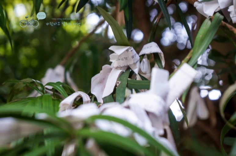 DSC07951_wide1080mark.jpg?type=w773