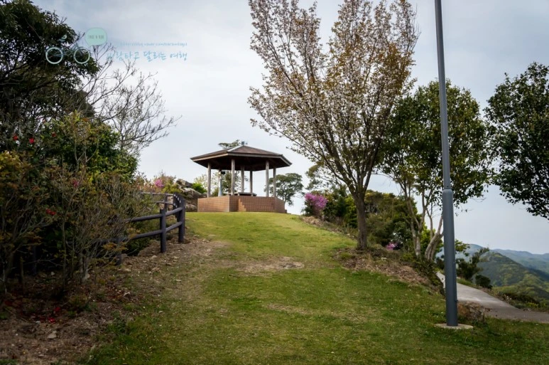 DSC07967_wide1080mark.jpg?type=w773