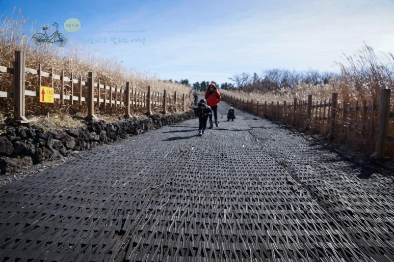 DSC00151_2.jpg?type=w773