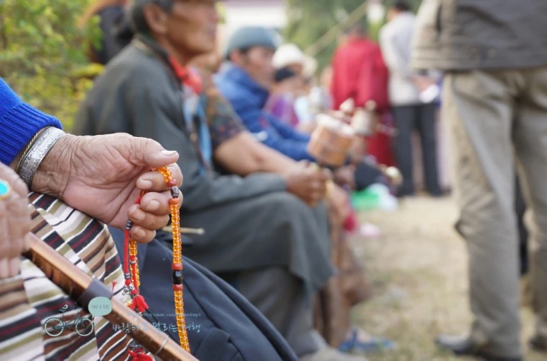 DSC00216.jpg?type=w773