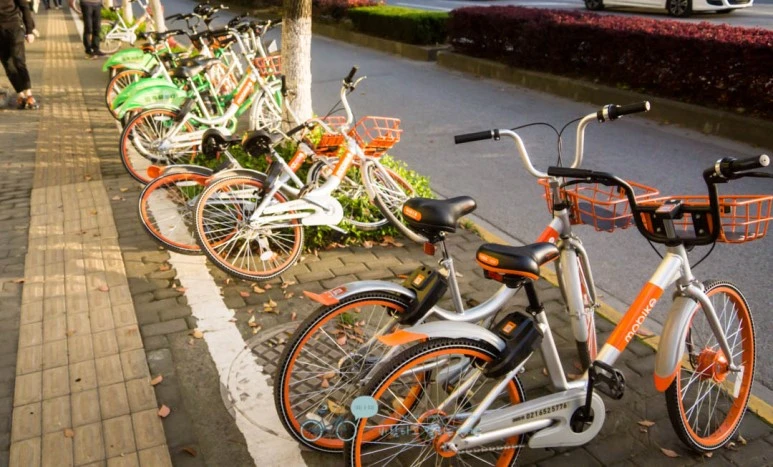 DSC04850_wide1080mark%EB%B0%94%EB%9E%8C.jpg?type=w773