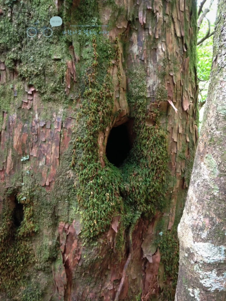 IMG_1475_wide1080.jpg?type=w773