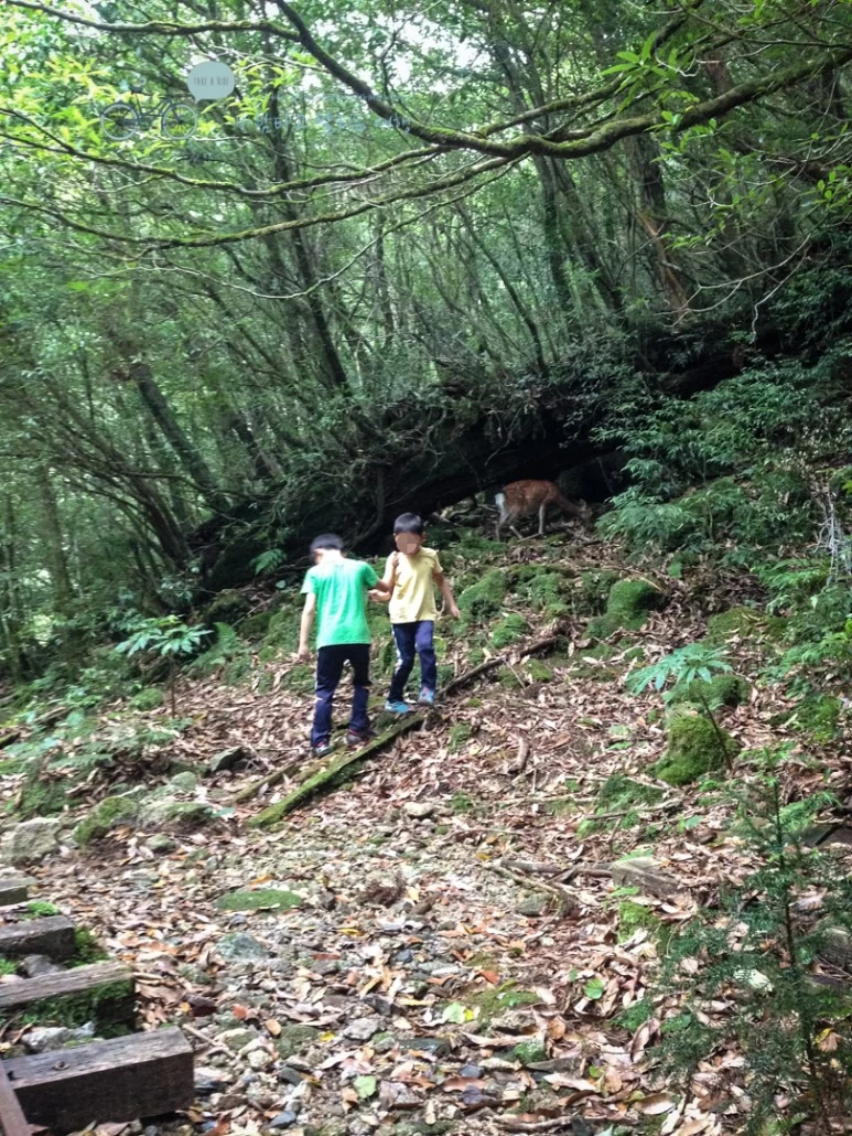 image_9773528481486454603282.jpg?type=w773