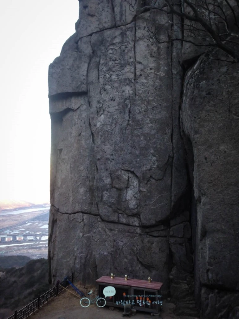 IMG_1387-_Wide1080mark%EB%B0%94%EB%9E%8C.jpg?type=w773