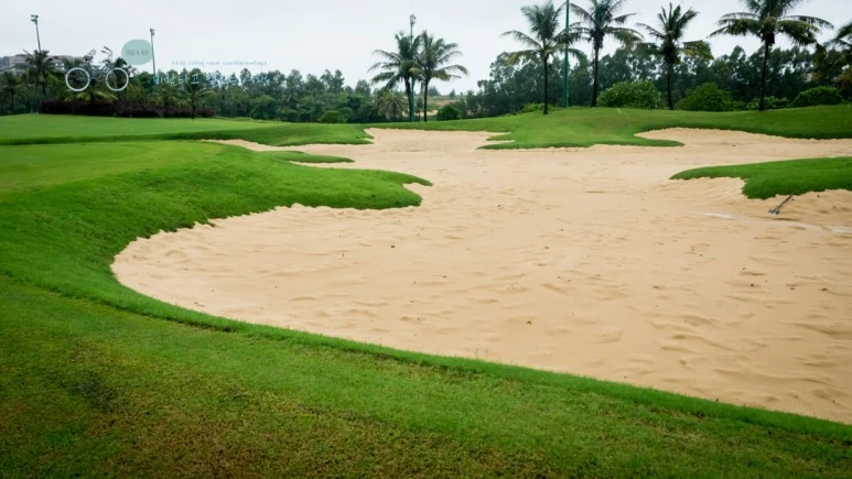 _1000470_wide1080_Wide1080mark_%EB%B0%94%EB%9E%8C.jpg?type=w773