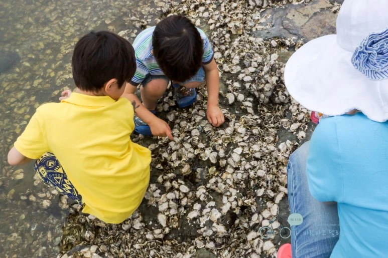 DSC01086_wide1080mark.jpg?type=w773