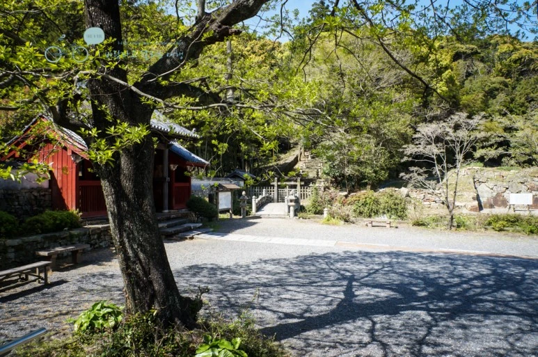 DSC07925_wide1080mark.jpg?type=w773