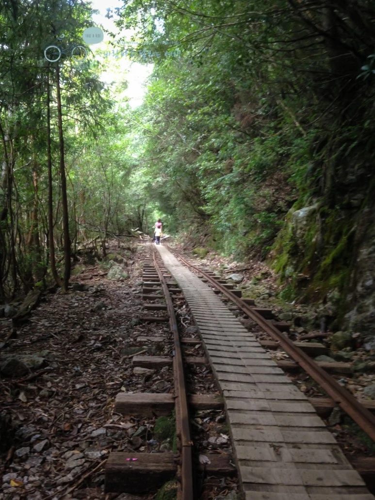 IMG_1301_wide1080.jpg?type=w773