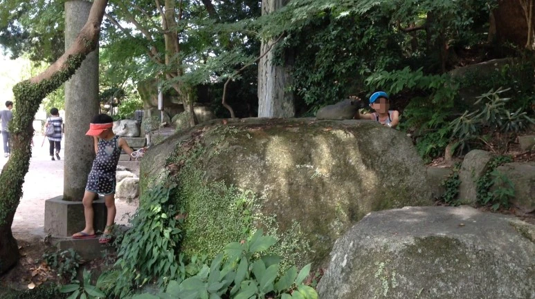 image_2202118011486024272201.jpg?type=w773