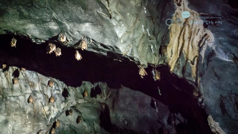 _1020886_Wide1080mark.jpg?type=w773