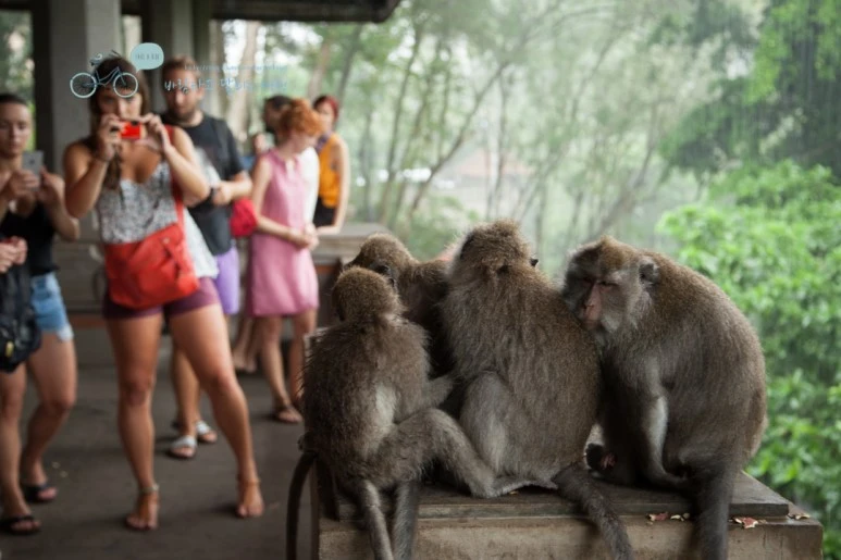 IMG_0195_Wide1080mark%EB%B0%94%EB%9E%8C%ED%83%80%EA%B3%A0.jpg?type=w773