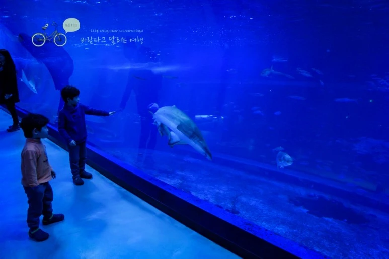 DSC00303_2.jpg?type=w773