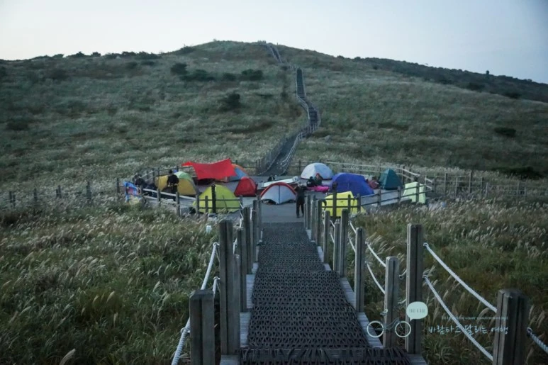 DSC04425_wide1080mark.jpg?type=w773