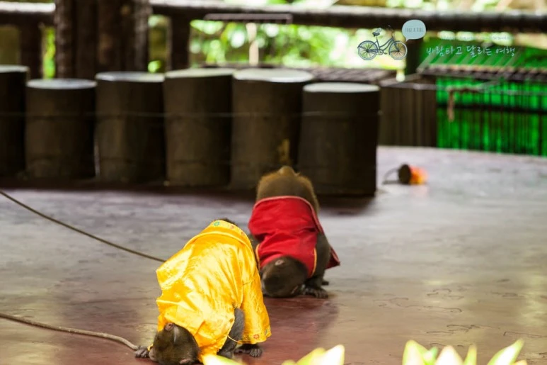 IMG_1441_wide1080%EB%B0%94%EB%9E%8Cmark.jpg?type=w773