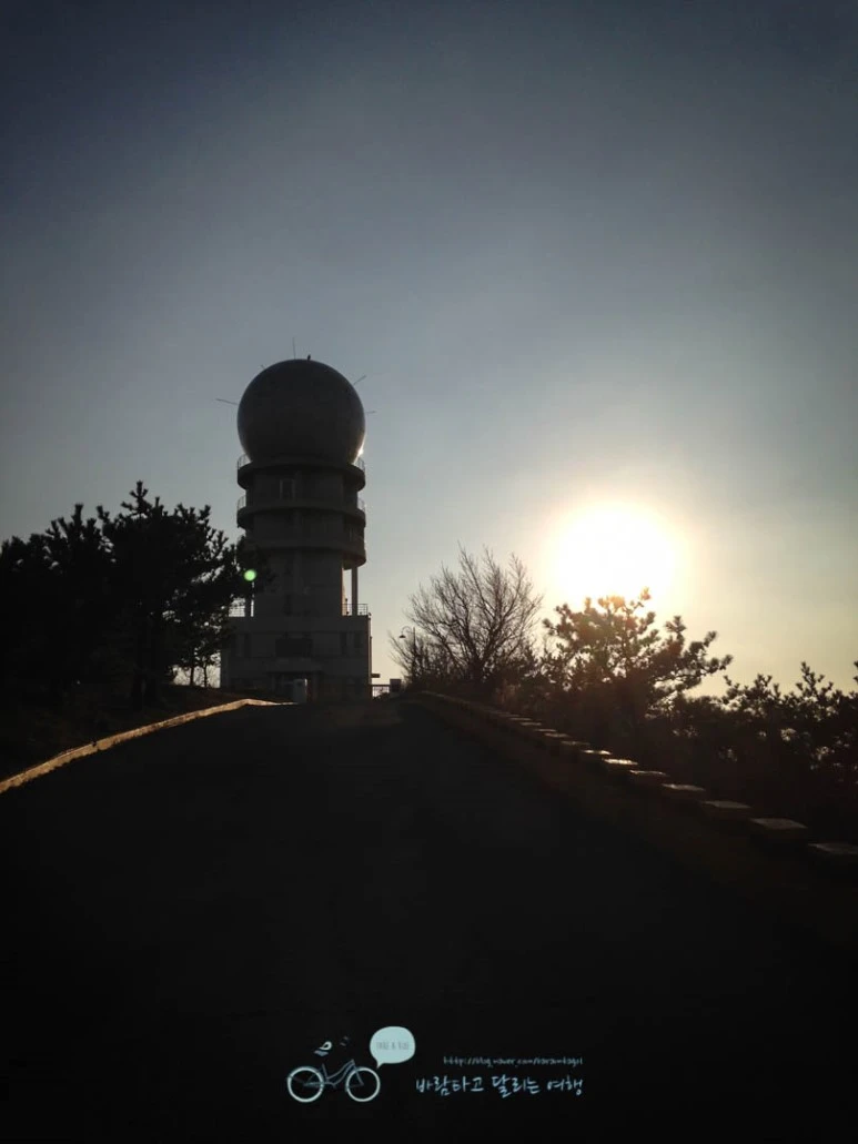 IMG_1218-_Wide1080mark%EB%B0%94%EB%9E%8C.jpg?type=w773