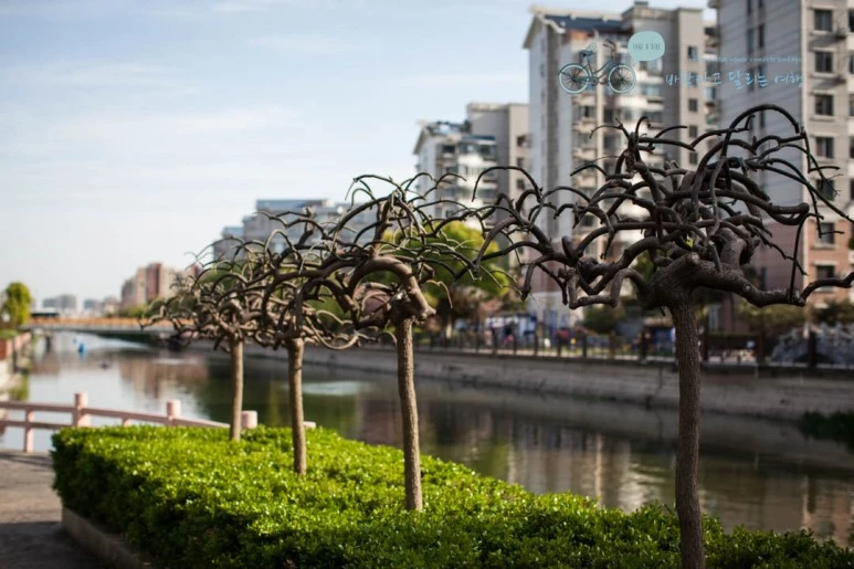 IMG_0038_wide1080%EB%B0%94%EB%9E%8Cmark.jpg?type=w773