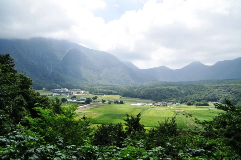 %B3%AA%B8%AE%BA%D0%C1%F6.jpg?type=w773