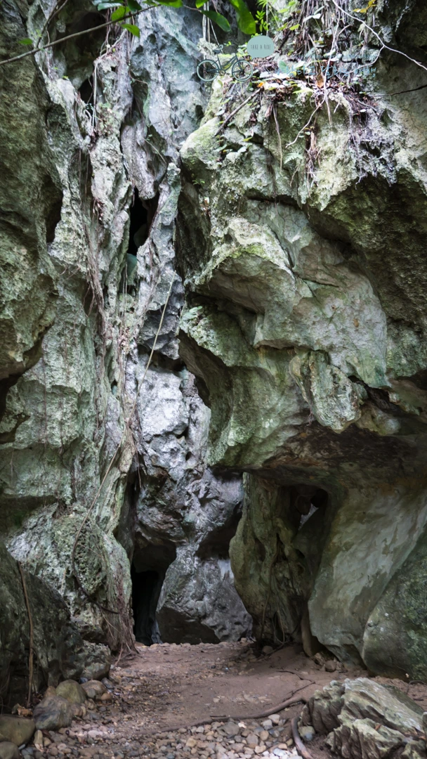 _1030036_Wide1080mark.jpg?type=w773