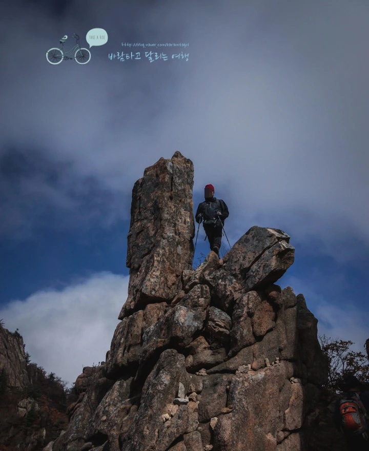 image_6769125561479950934698.jpg?type=w773