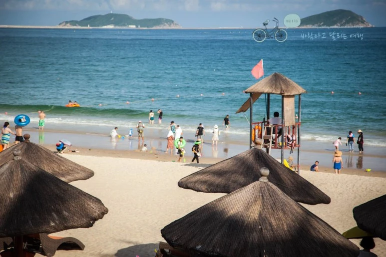 IMG_0784_wide1080%EB%B0%94%EB%9E%8Cmark.jpg?type=w773