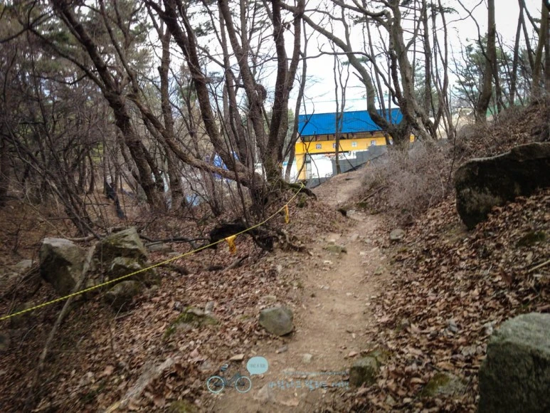 IMG_1871-_Wide1080mark.jpg?type=w773